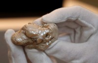 World's largest known freshwater pearl sells at auction in 2.5 crore