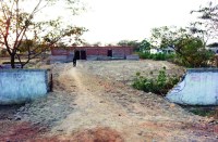 शाला भवन के लिए आवंटित जमीन पर दो लोगों ने किया कब्जा, अब की जा रही खेती,  मना करने पर दी जाती है ऐसी धमकी...