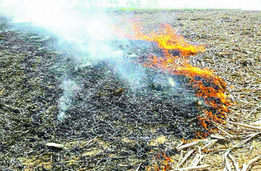 fire in farmer land