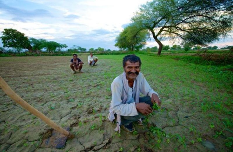 Goo rain makes farmers happy