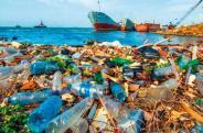 plastic pollution