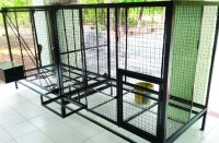 बिना तैयारी बंदर नसबंदी केंद्र का सीएम से कराया लोकापर्ण, अब ट्रेनिंग का है इंतजार