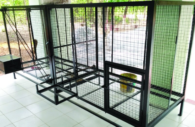 बिना तैयारी बंदर नसबंदी केंद्र का सीएम से कराया लोकापर्ण, अब ट्रेनिंग का है इंतजार