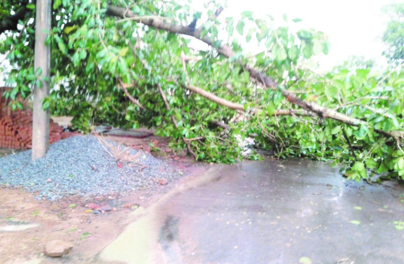 Weather : तेज आंधी व पानी से कहीं टूटा तार तो कहीं गिरा पेड़, रात भर रही बिजली गुल, सड़कों पर छाया रहा अंधेरा