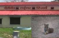 Pilibhit Tiger Reserve