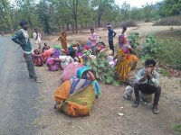 Caught Damoh and Sagar Tendu Patta thief