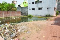 Satna Nagar Nigam Ward No. 26 news in hindi