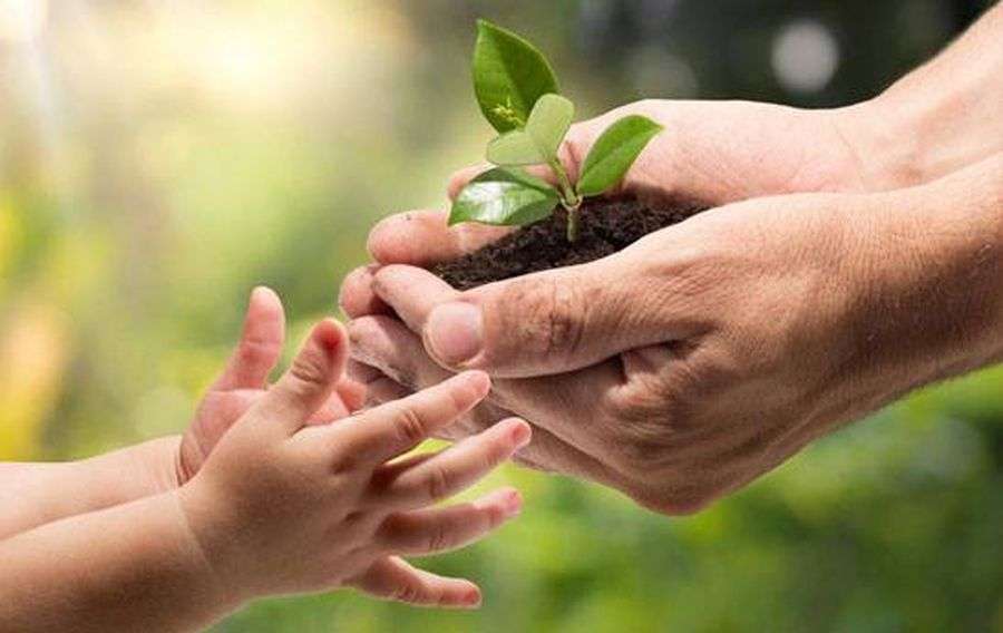 people have to take action to save environment