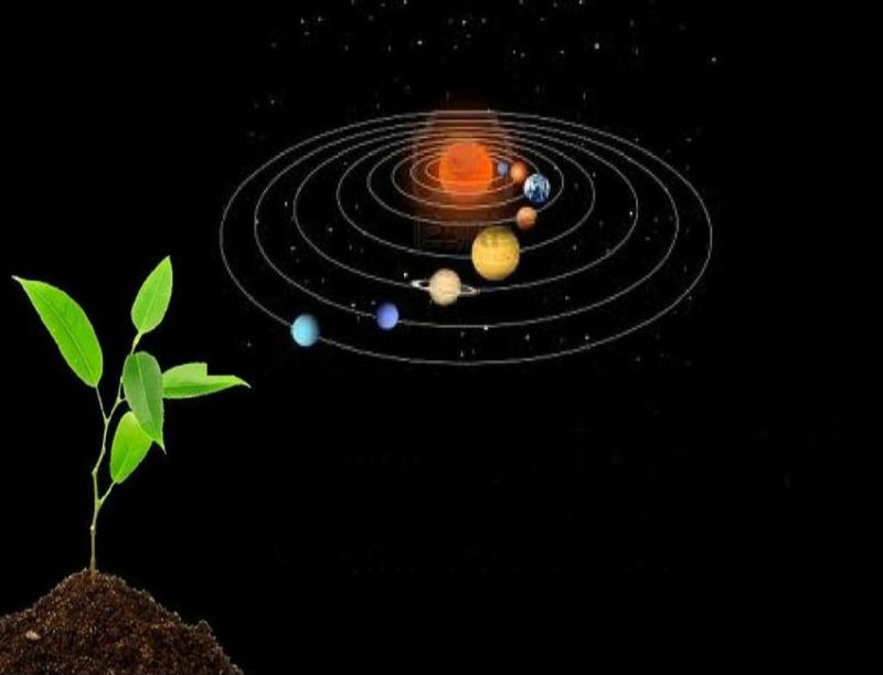 World Environment Day