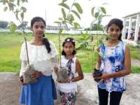 environment day special story of satna