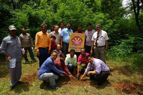 एक साथ पूरे शहर में प्लांटेशन