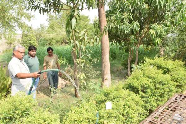 5 साल में तैयार किया बगीचा