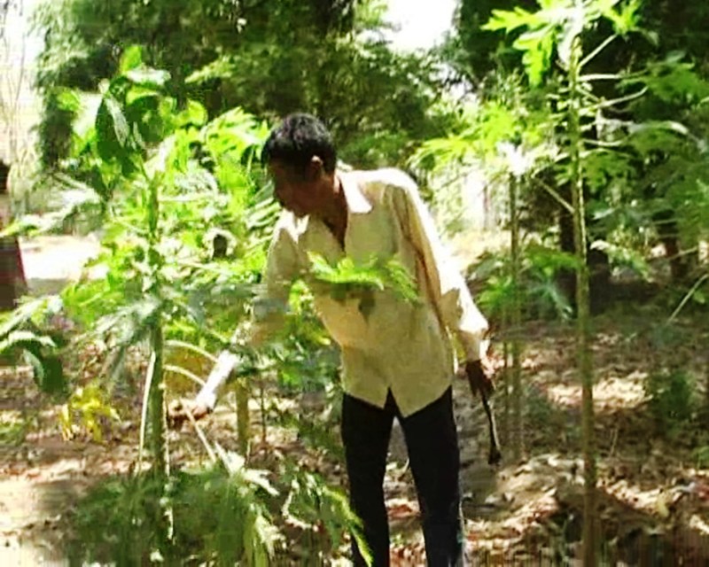 world environment day 2018 special story Kanpur News