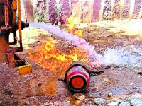 अधिकारी कर रहे थे खाने का इंतजार, इनकी बन आई जान पर, पढि़ए पूरा समाचार