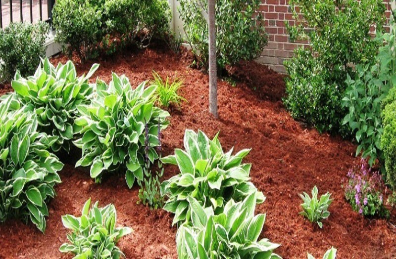 New concept of gardening