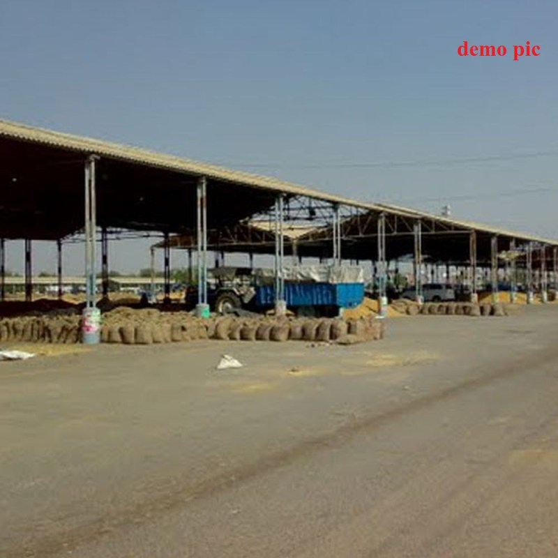 Grain Market: new tin-shed and platform on 12 Bigha land