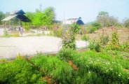 kota news