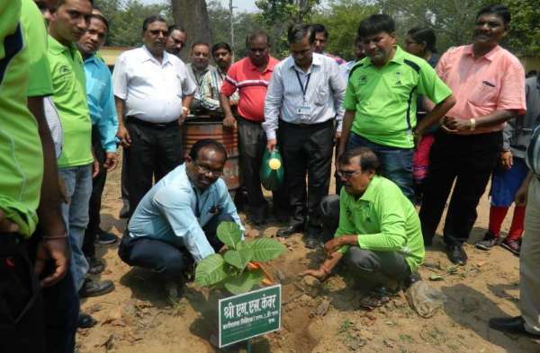 Photo Gallery : विश्व पर्यावरण दिवस पर औद्योगिक इकाइयों व सामाजिक संगठनों ने रोपे पौधे, पर्यावरण संरक्षित करने लिया संकल्प