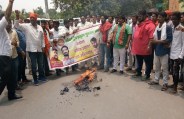 Pakistan effigy