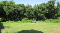 the Mughal court In the mango garden