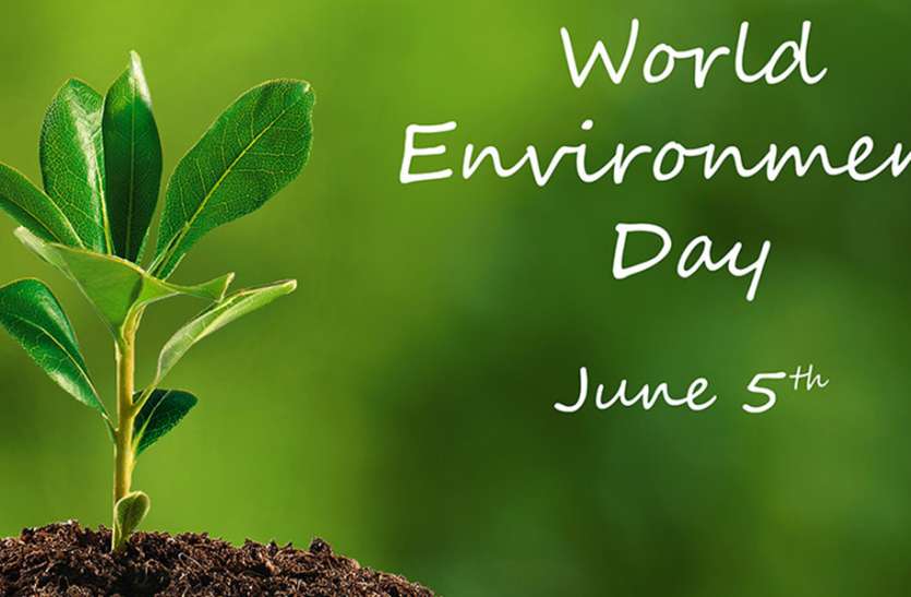 विश्व पर्यावरण दिवस 