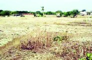 किसानों को नहीं मिला सूखा राहत राशि, पटवारियों के रिपोर्ट पर ग्रामीण उठा रहे सवाल 