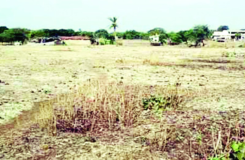 किसानों को नहीं मिला सूखा राहत राशि, पटवारियों के रिपोर्ट पर ग्रामीण उठा रहे सवाल