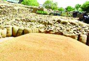 Bhavantar Bhugtan Yojana forgery news in satna