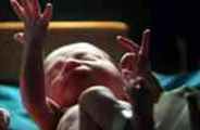 Found the fetus waste in bhilwara