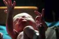 Found the fetus waste in bhilwara