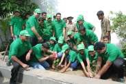 surat photo