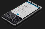 blackberry