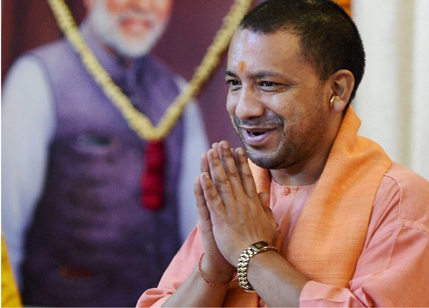 yogi