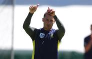 dale steyn 