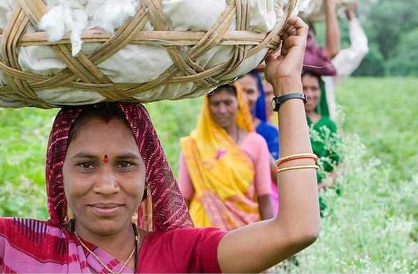 summer high temperature save crore rupees of farmers in shekhawati