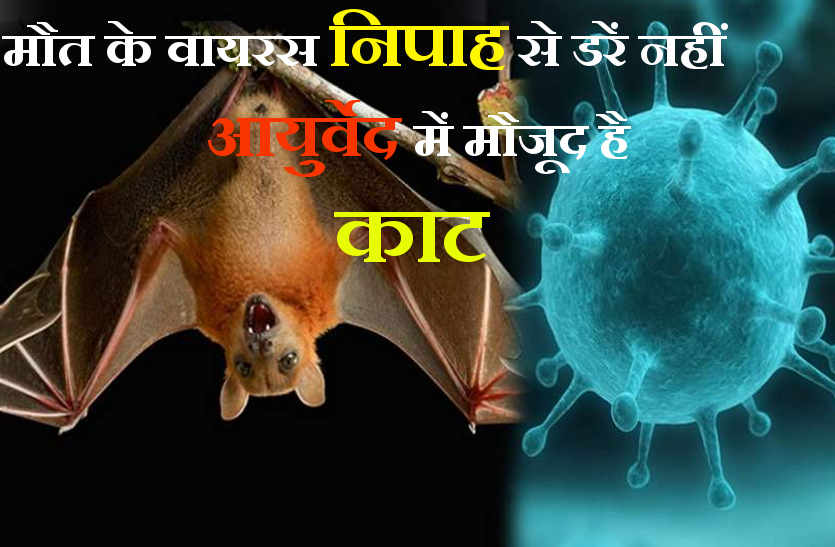 Treatment of Nipah Virus in Ayurveda in bhilwara