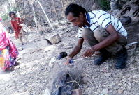 Snake trapped in fish trap udaipur