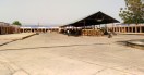 agricultural market news