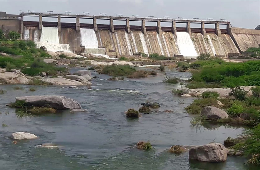 Jawai dam