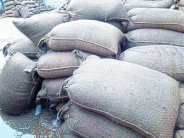 wheat from rain at the purchasing centers in sidhi