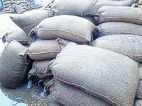 wheat from rain at the purchasing centers in sidhi
