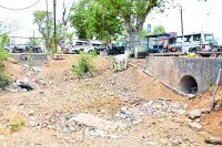 Satna Nagar Nigam Ward No. 29 news in hindi