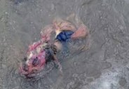 dead body found
