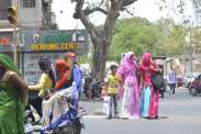 beautiful pics of summer in ajmer
