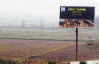 Night safari