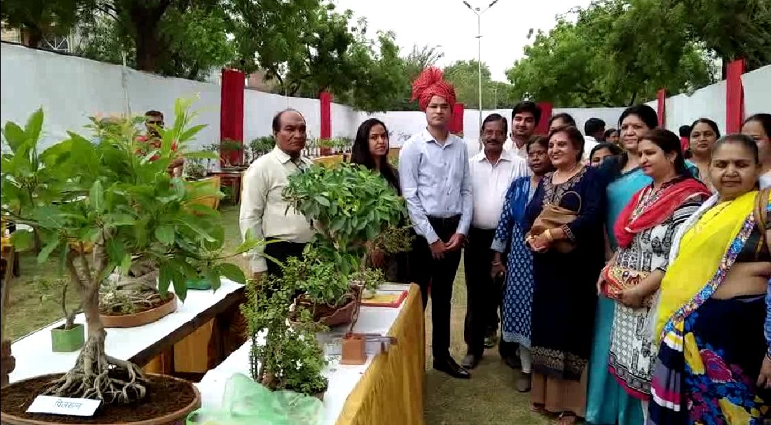 ढाई फीट का कल्पवृक्ष, उम्र 52 बरस