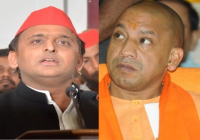 bungalow damage case