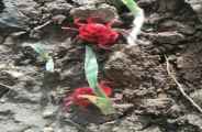 rain in bhilwara