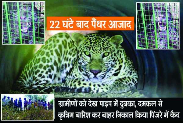 Rajsamand,Rajsamand news,Rajsamand Hindi news,rajsamand news in hindi,rajsamand latest news rajsamand,Latest hindi news rajsamand,
