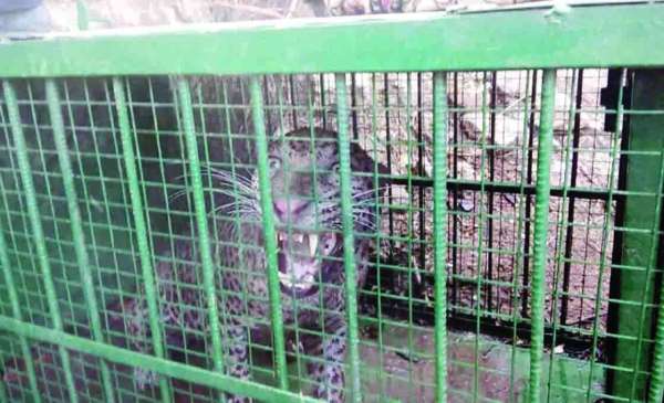 Rajsamand,Rajsamand news,Rajsamand Hindi news,rajsamand news in hindi,rajsamand latest news rajsamand,Latest hindi news rajsamand,